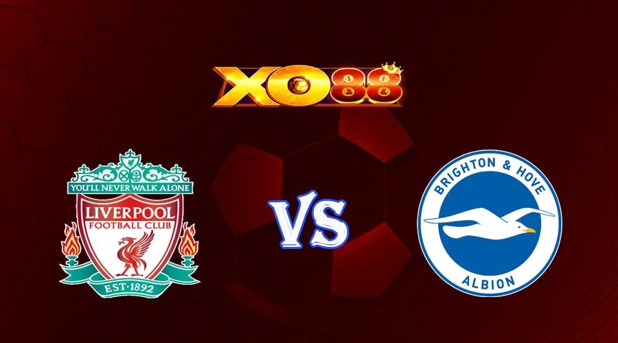 XO88 Nhận định soi kèo Liverpool vs Brighton 21h00 ngày 01/10/2022 - Ngoại hạng Anh
